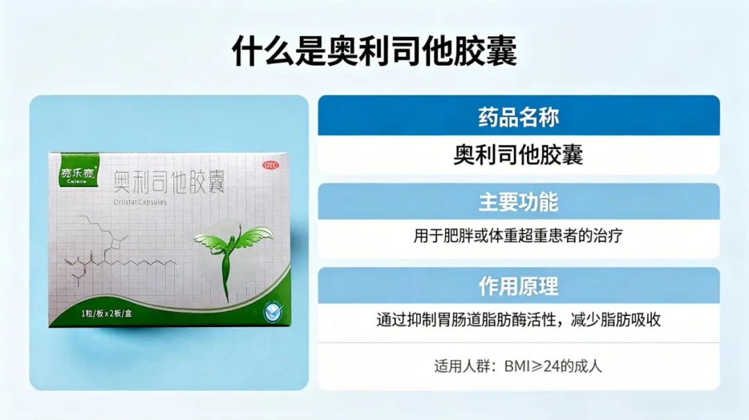 为什么有人减脂总反复 为什么有人减脂总反复