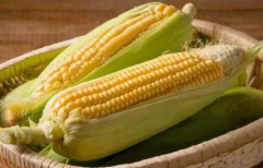 关于玉米减肥的说法是真的吗？
